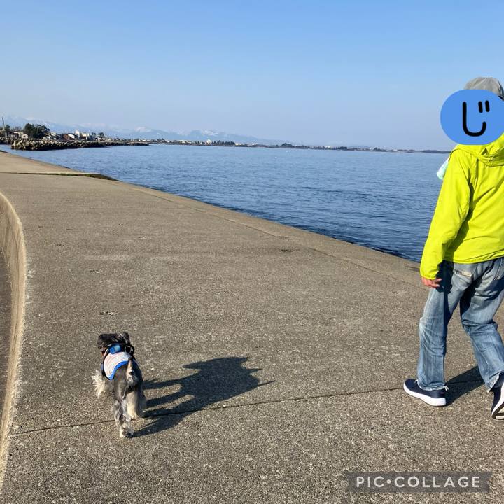 1cb8c181 0539 49fc ab82 301267a4da4f 1743841200944