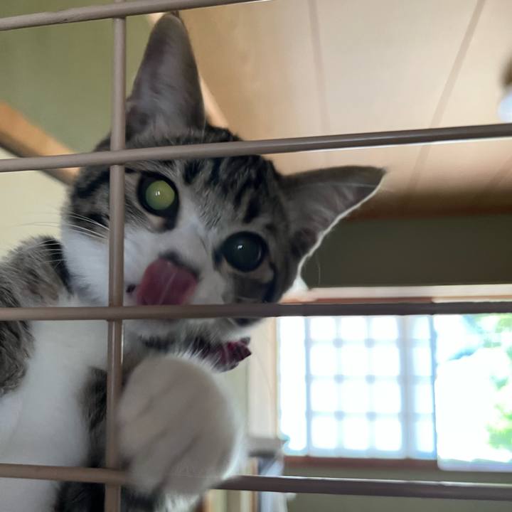 1cb8c4a8 d6ba 4c56 b9f4 1e6c6a9df29c 1693175320062