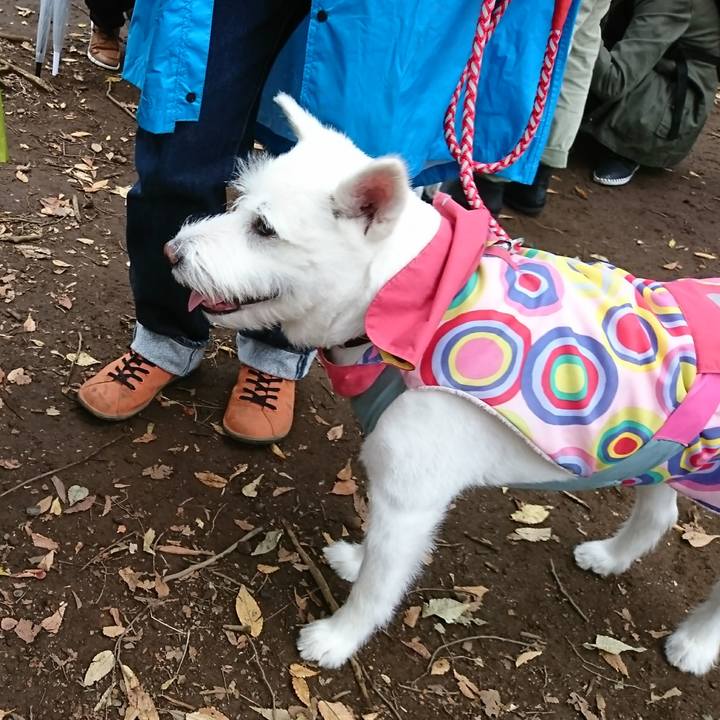 1cb92354 9902 4e4d 8eb5 450fbb80339d 1509227804098