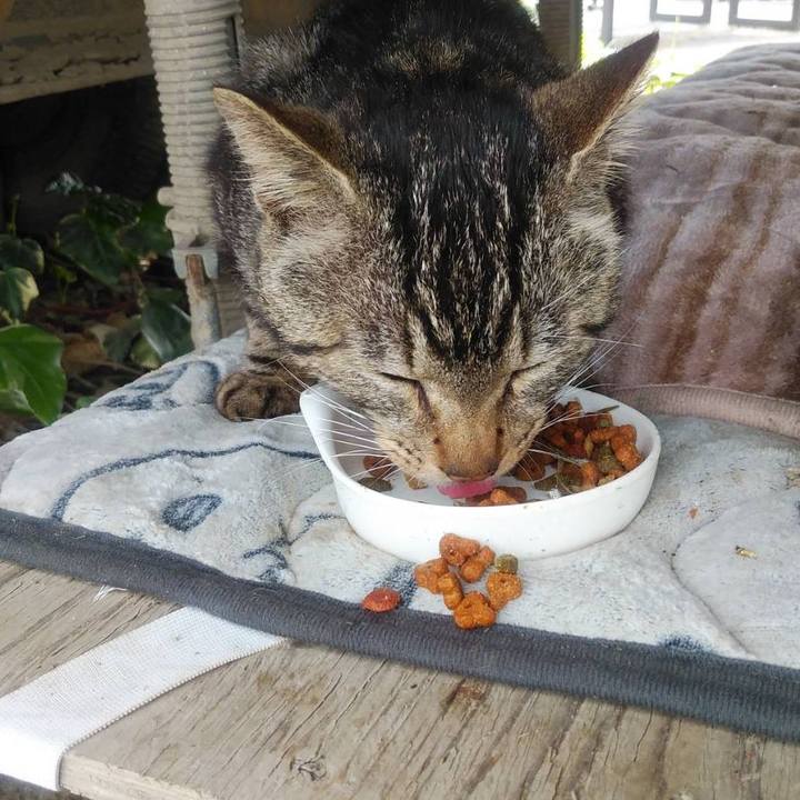 1cb98f33 d132 429f 88b2 00649889a416 1589242662934