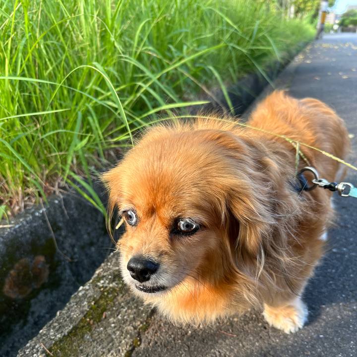 1cb9a225 b8d2 4d69 8ded c959e44a17d0 1691015067410