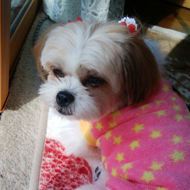 1cb9a293 cb44 49cd b4e0 a7531bf69c7c 1508716636154