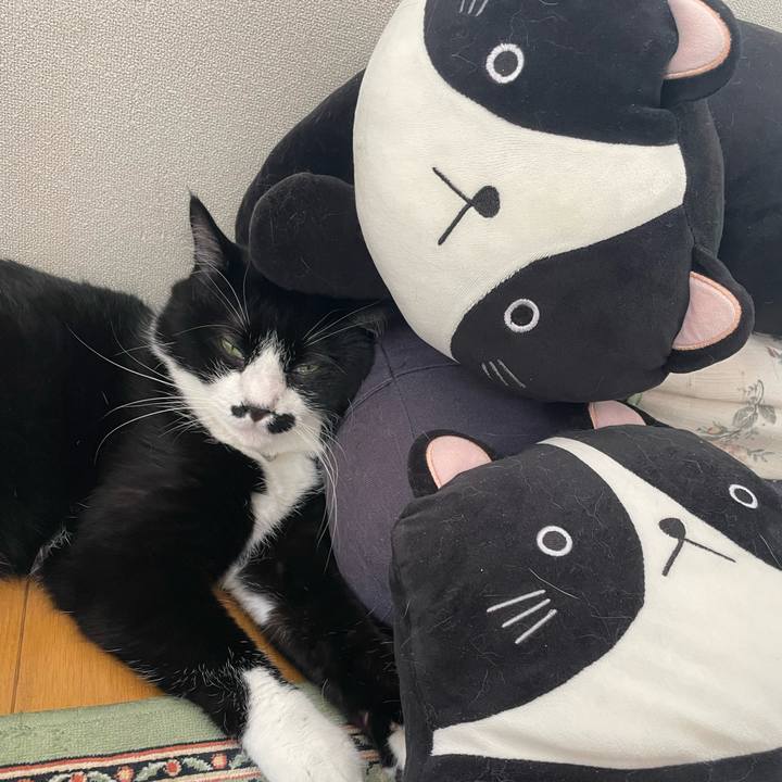 1cb9ab46 ddab 4c4e 9cf1 4b34243aec80 1753656345567