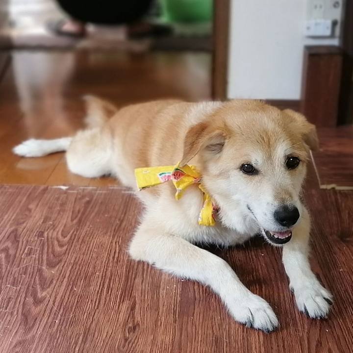 1cb9b03c ba08 489c b110 fb7e9a7362ae 1596699049020