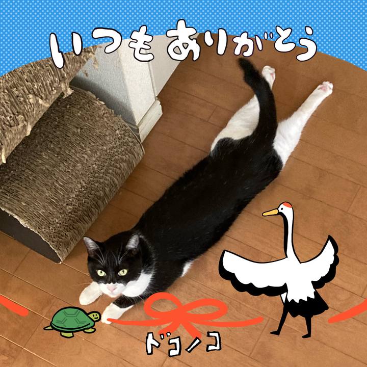 1cb9b1c4 c468 41c7 b771 6e08287cd6bd 1727326938145