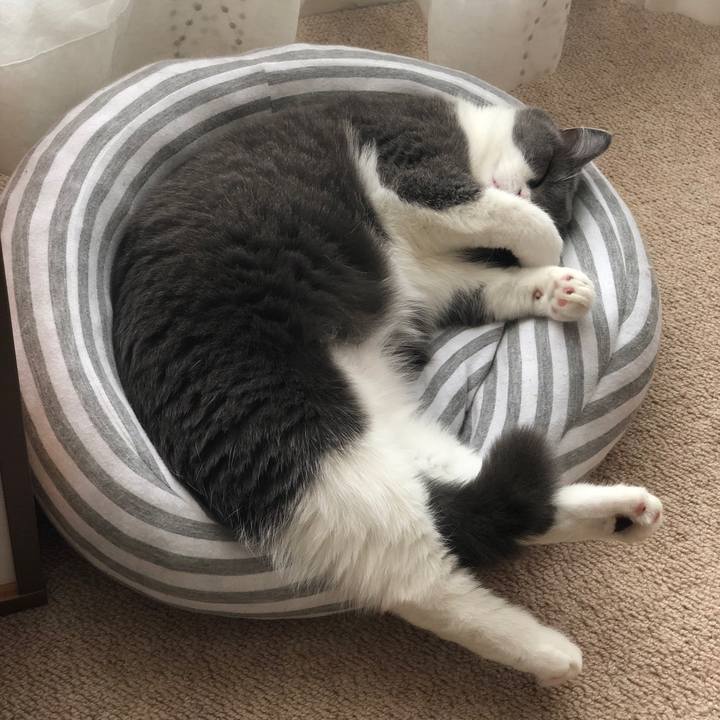 1cb9ceda 4395 484c 9325 68a64ec015e2 1531176220074