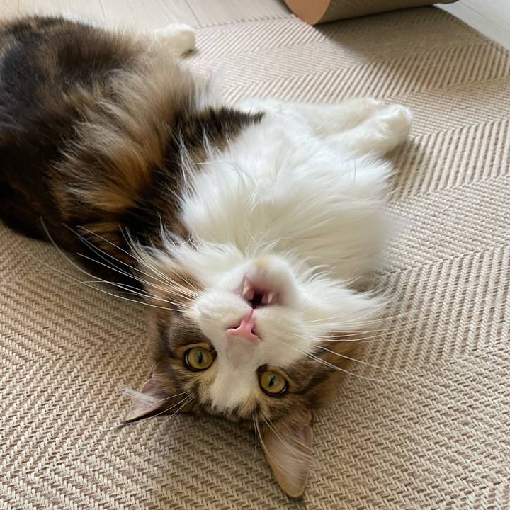 1cb9ebac 9244 48e1 a3fc f7079db1e9e9 1656885505446