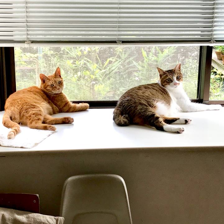 1cba095e 77ee 4152 80c2 0478189e395f 1531288954147