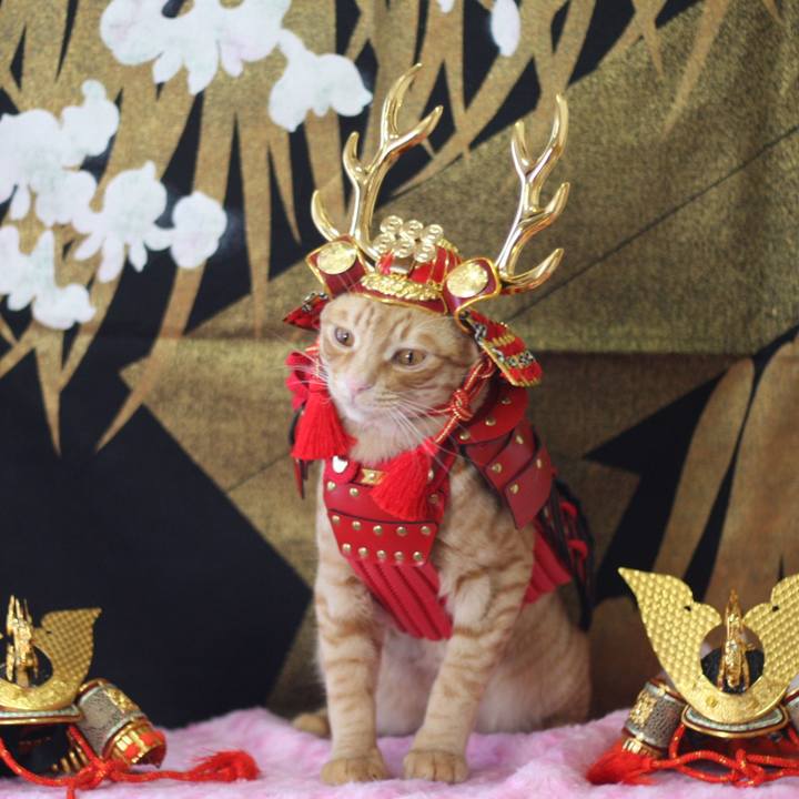 1cba3c0b 521a 4852 91db 0233e0572f2b 1683157498219