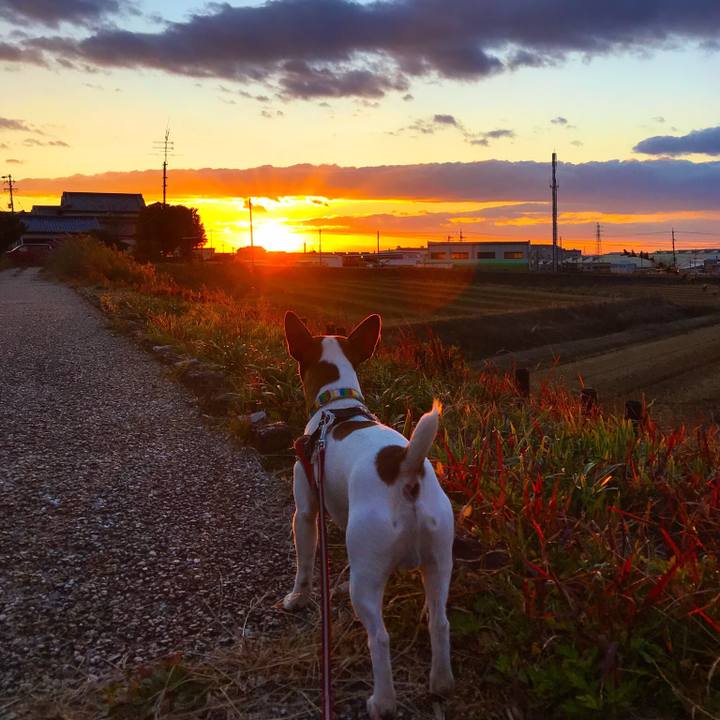 1cba46e2 d9b2 4721 90d7 fd71b79848ff 1512478678744