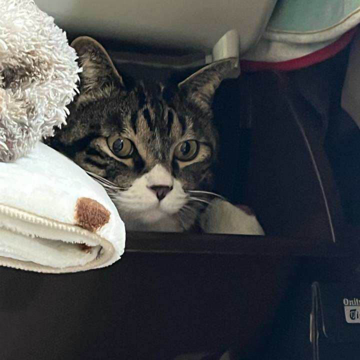 1cba5708 f797 46bf 97ba 80e956b0b583 1773616597746