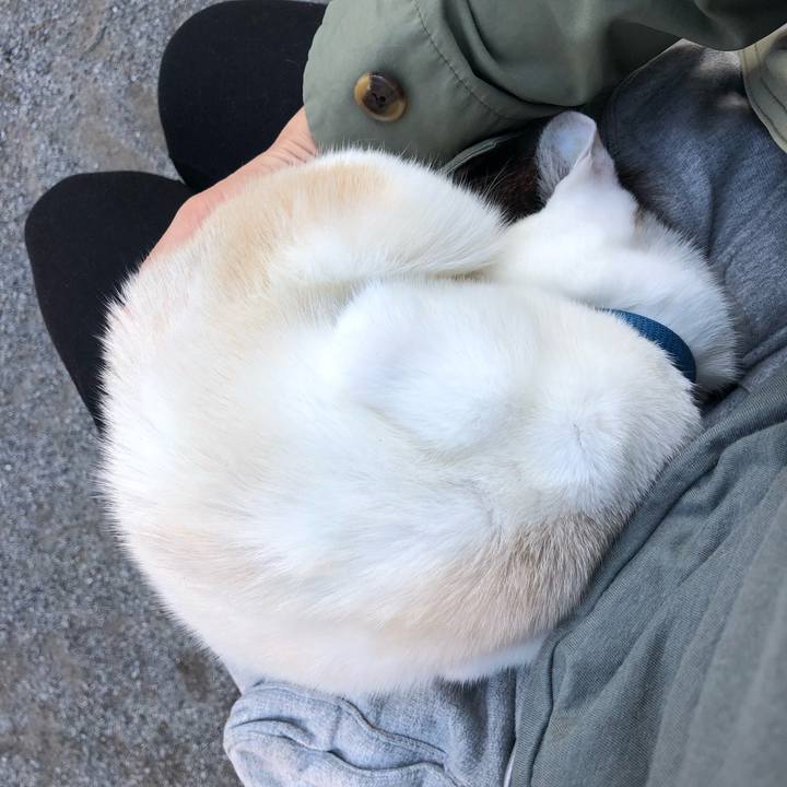 1cbaa852 4239 47b7 85f8 c5190e23d7ad 1638014715752