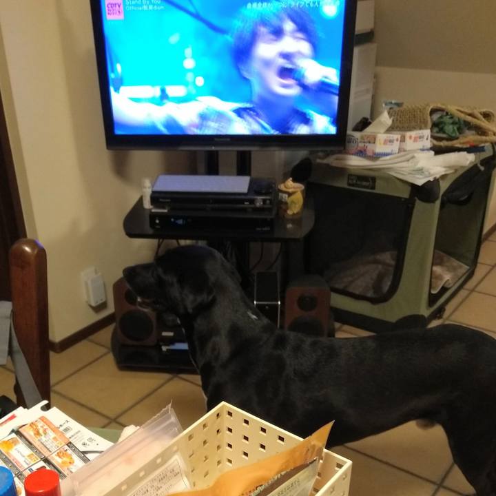 1cbaf1e2 86ef 4612 b92e 252d4629f981 1597103704306