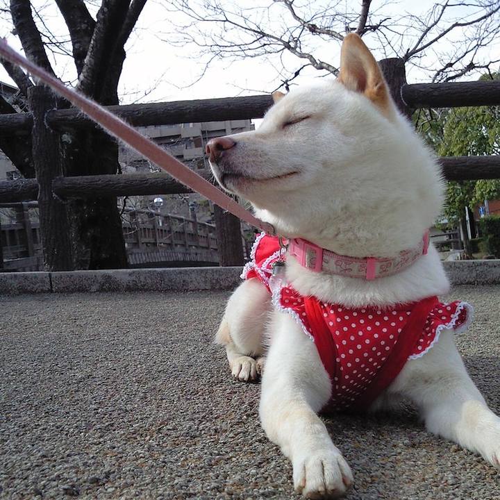 1cbaf532 c5ef 4515 b0fc 0b898450a679 1648292223079