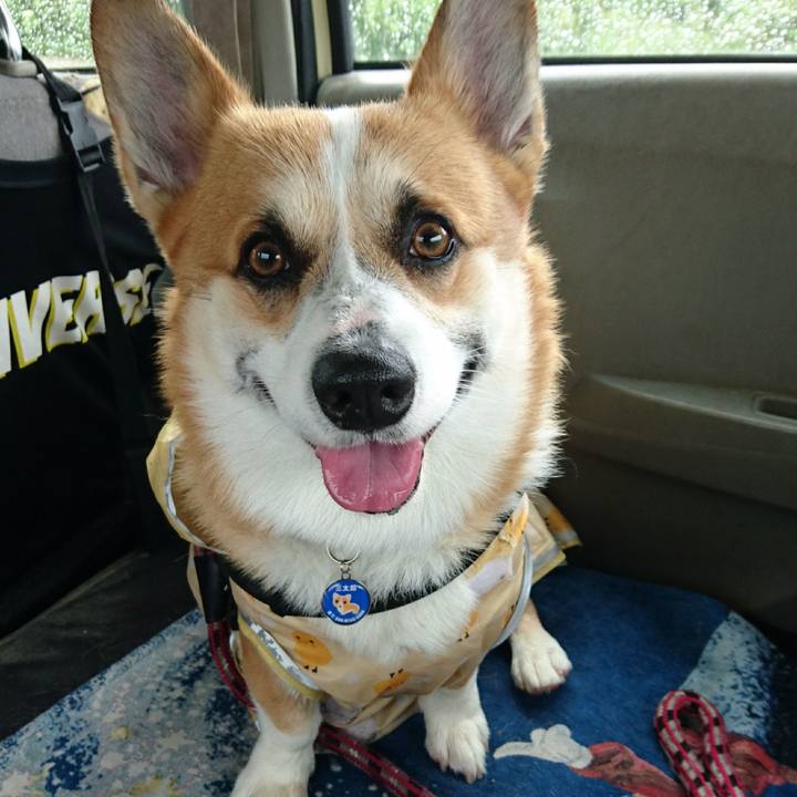 1cbb00f3 5e6b 472c b035 ea26b7366352 1621567267159