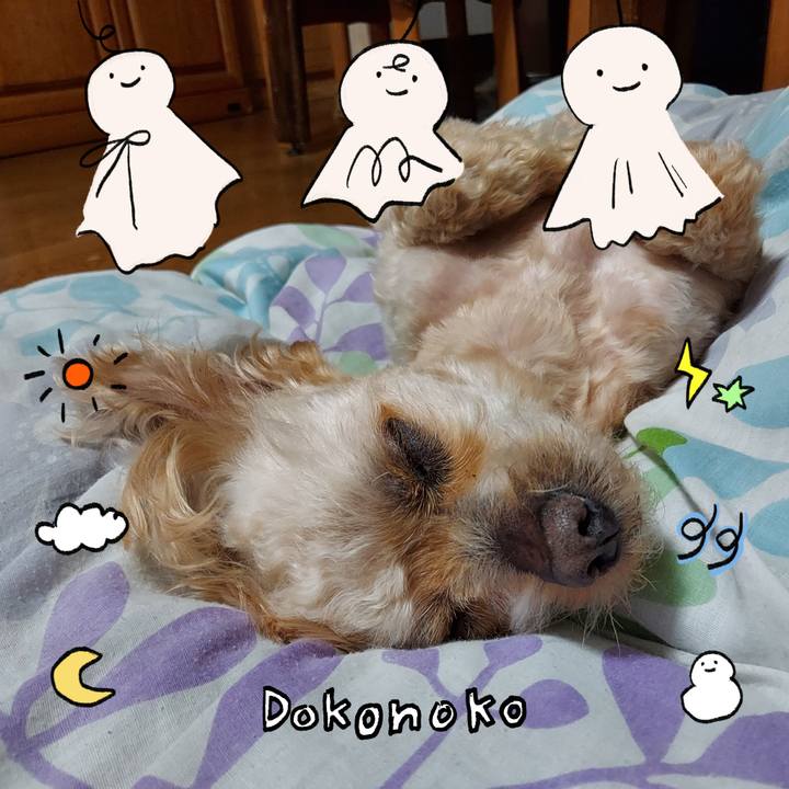 1cbb165f 527f 453e b1dd ac5bfa1dff6e 1749542472531