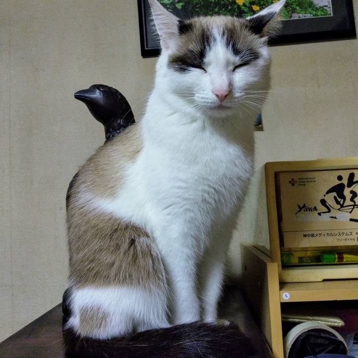 1cbb192e a85f 48de a789 547a8ffea43b 1575637064300