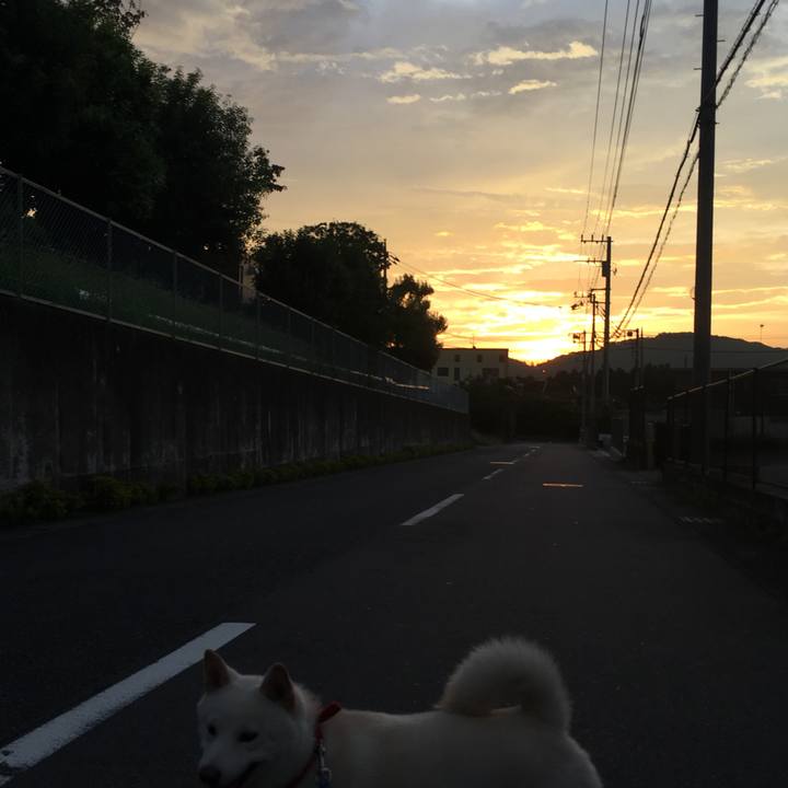 1cbb78ce e9f3 4933 ac46 af04bad2474f 1535749597913