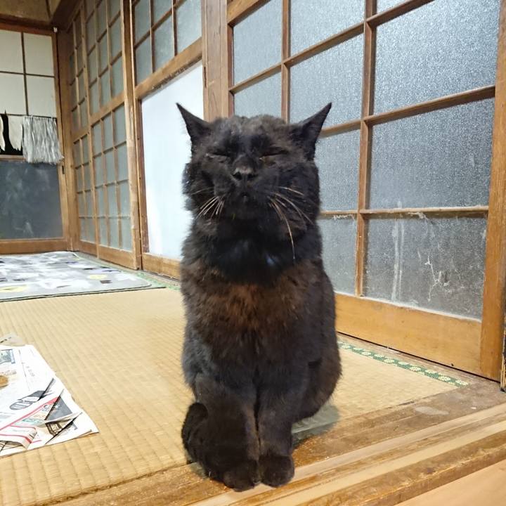 1cbb892f bd6c 4917 b516 8b02b21c9a07 1619608511409