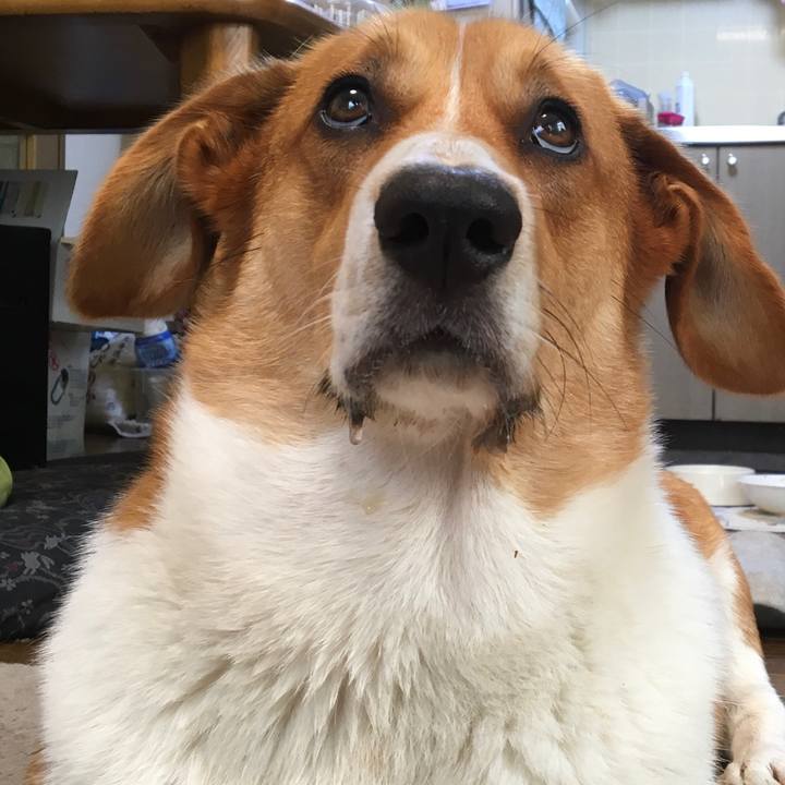 1cbb9bb7 60dc 4dee 83ed bb3051f95df8 1627435753284