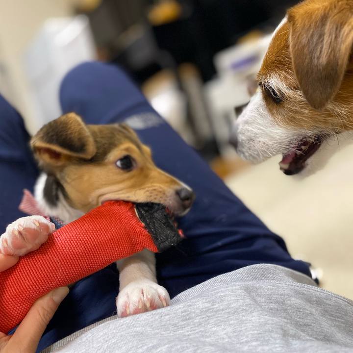 1cbba56c 4dca 482d ba30 5a0df4b5c8d4 1744368973897