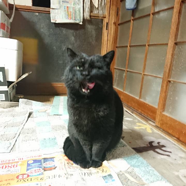 1cbbbf66 8aa7 48b7 84cb 81c48e323998 1646390058803