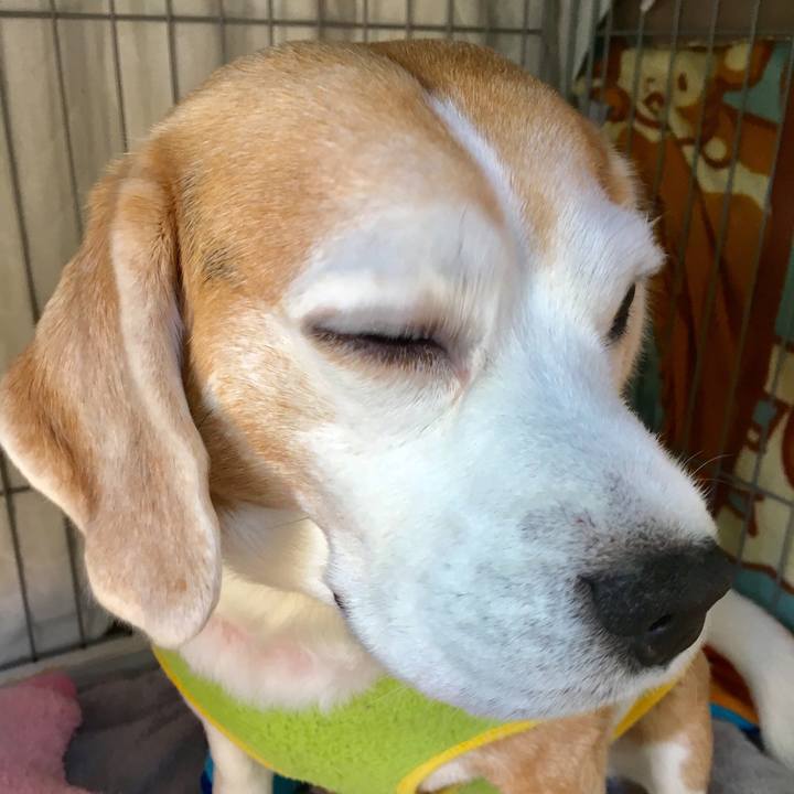 1cbbf34e 28b6 45aa 913d dbe36b7b5e87 1548999583095