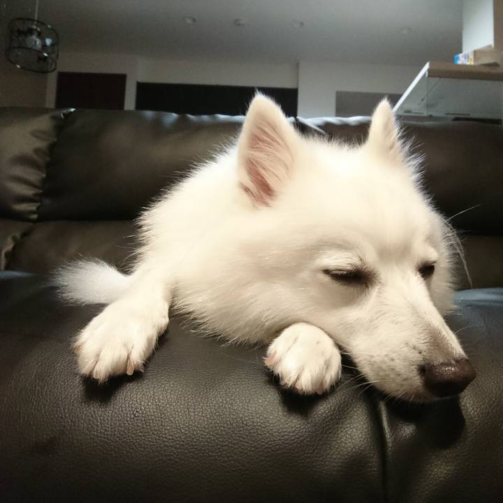 1cbc47b9 109c 413c b66a 26f0738786c5 1536917642863