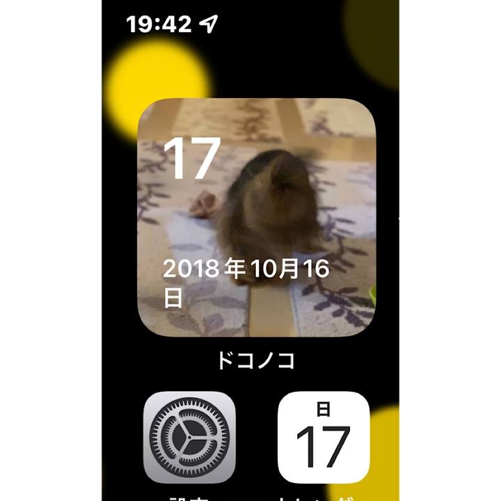 1cbc5304 0277 40ff b41e 4ef00c54e010 1634467484027