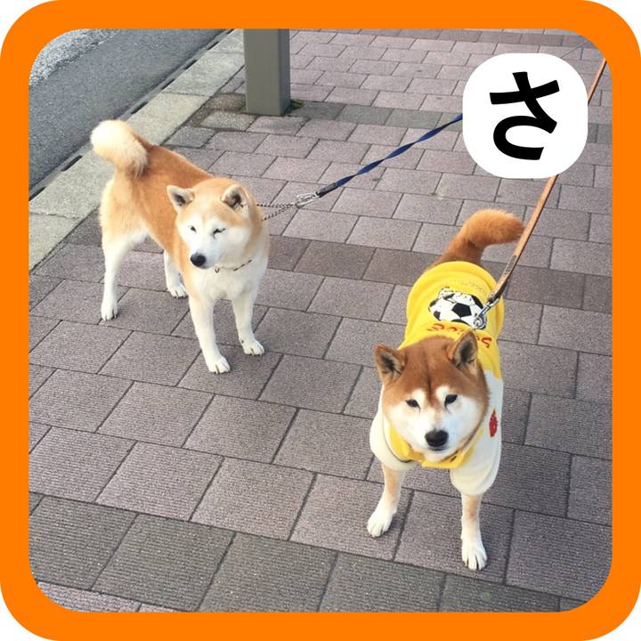 1cbc78a4 e1ef 4e29 ba95 561bc63b6945 1515404239169