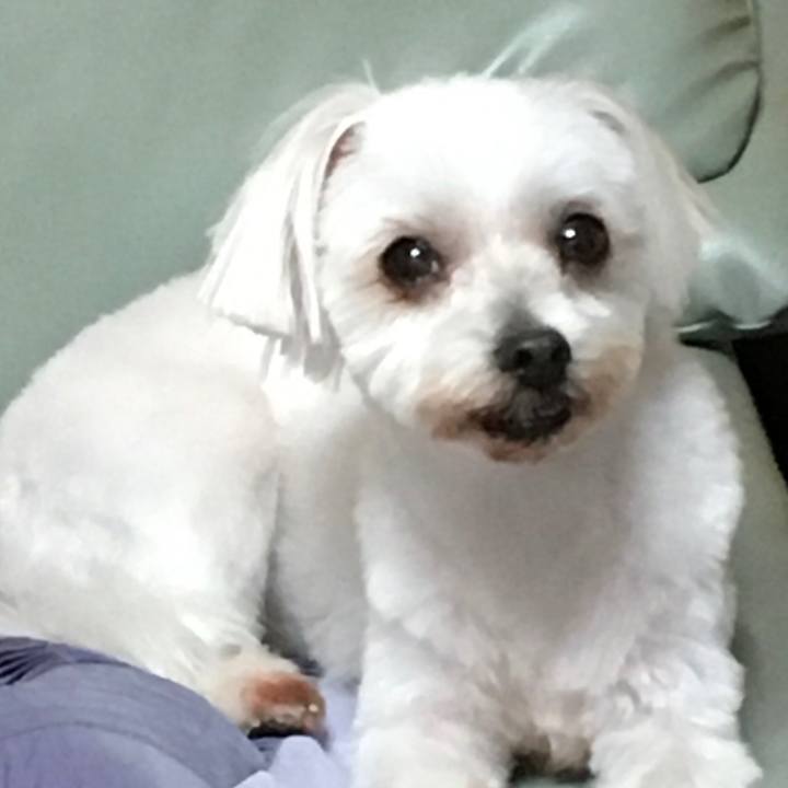 1cbca256 628d 49be bea0 578f3ea76196 1633779623245