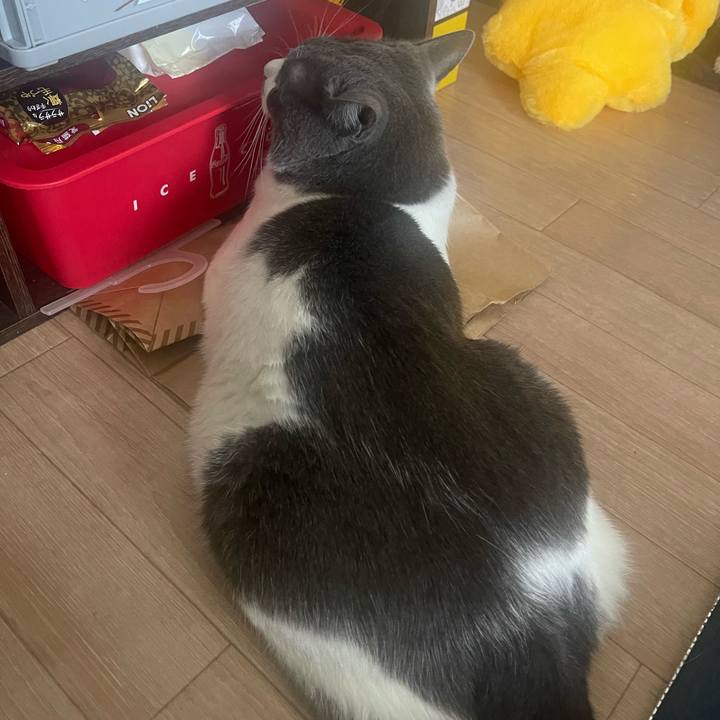 1cbcad81 4f89 4eb5 9207 49fe6658e691 1692427528972