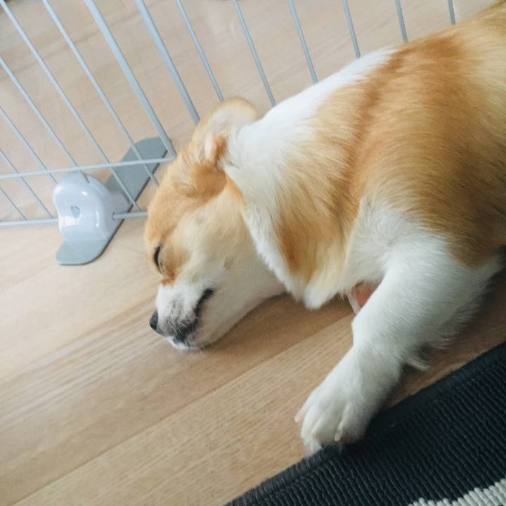 1cbcc374 c5c7 40f4 be94 9c19574240f3 1565958653282