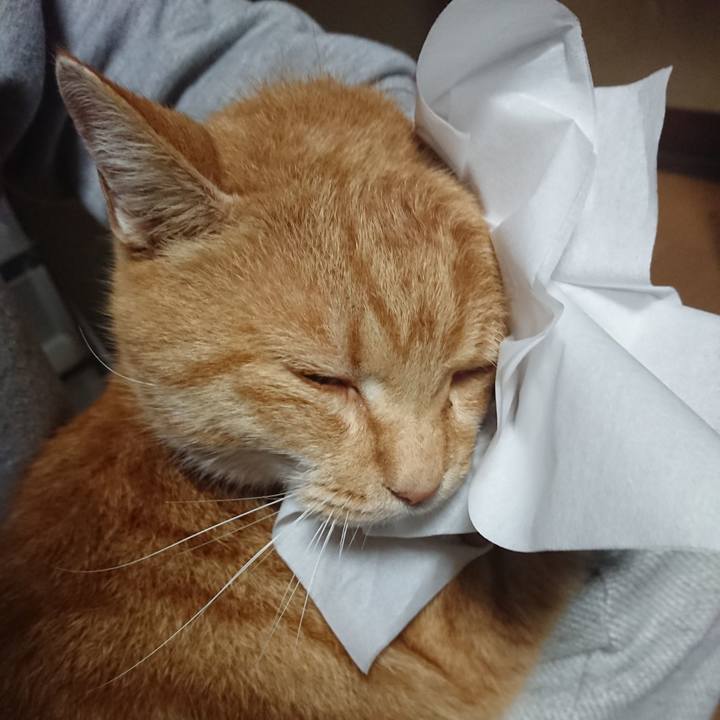 1cbcc8a5 0281 4c2c 8b25 e7b5a3bbb113 1605904948534