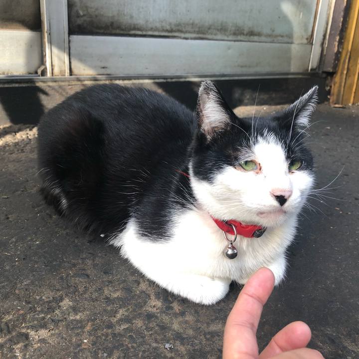 1cbcfba1 ee3b 4e3b 8a1c 2199e82f9148 1555680240560