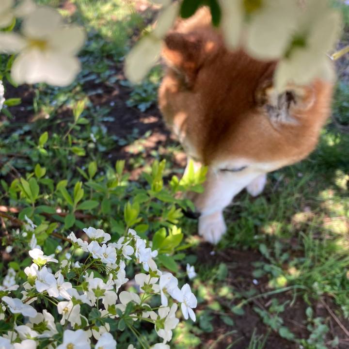 1cbd0a79 15d2 4942 9101 614e1d14a434 1679198446332