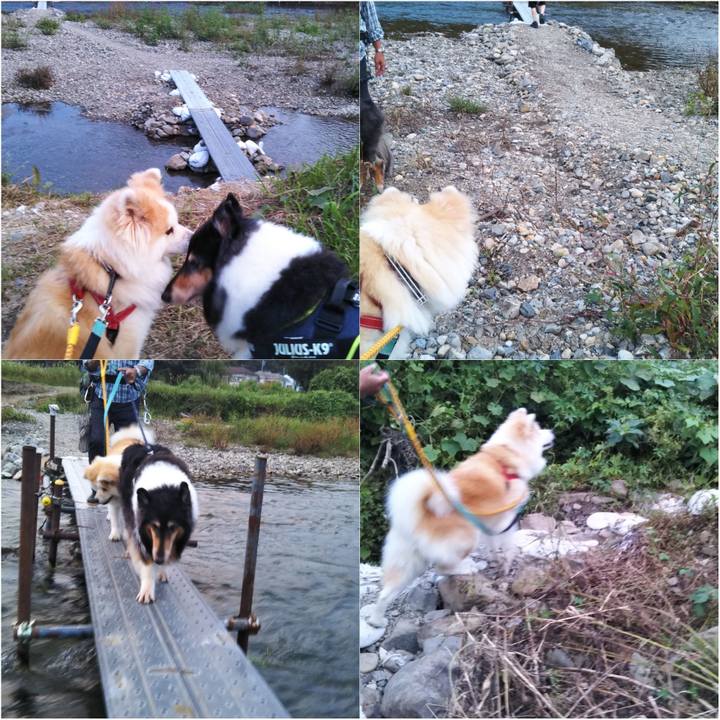 1cbd173e fb41 4c8f 9f4e 52e8ae90f31b 1601471386396