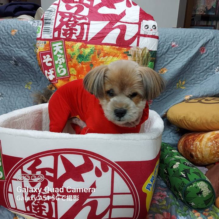 1cbd2238 f916 4781 b1f7 4af74acc9113 1671966223410