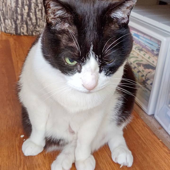 1cbd251c 0323 4303 a6c9 9475ac468703 1648860998891