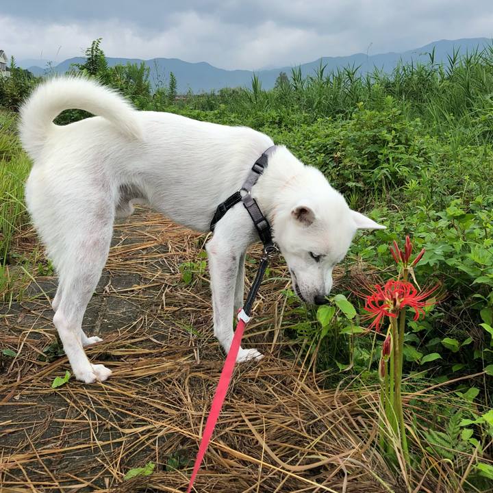 1cbd7601 2711 4236 b7b1 88d9af5bc1b7 1536884676605