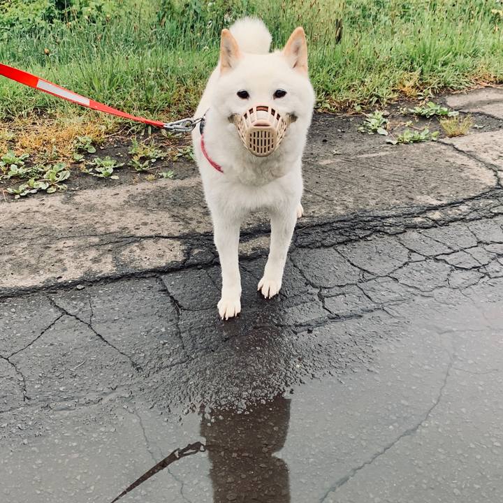 1cbd89ac da1f 4785 9a9c c806024e58b8 1592344838023