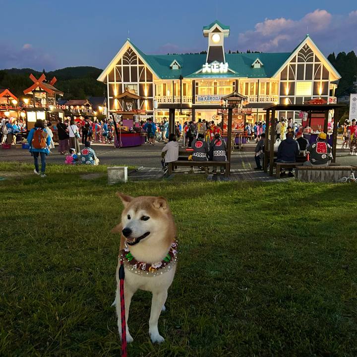 1cbd92f9 b6c8 4584 a5e6 d0eefb4a544b 1728818153956