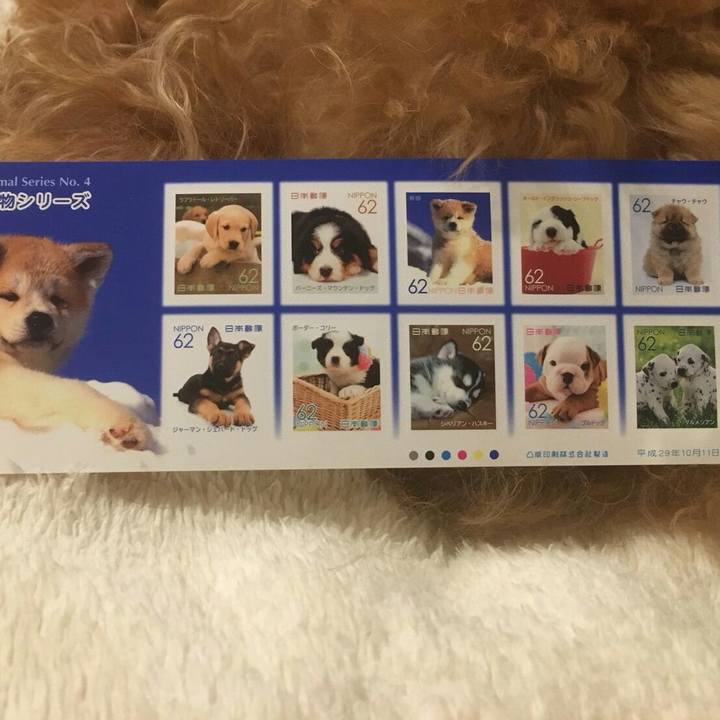 1cbda2ae 78d3 4719 b78d 262ddd8c44b0 1508365395299