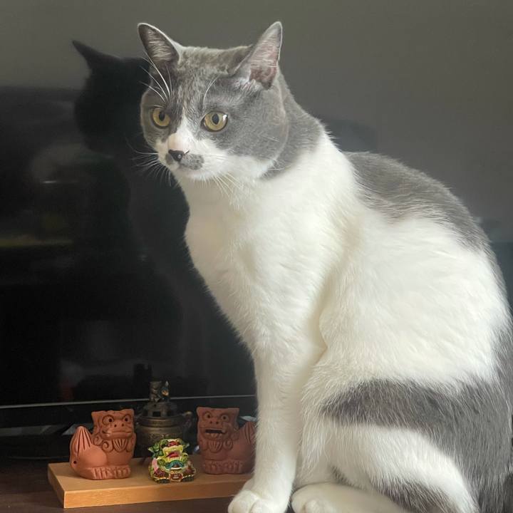 1cbdaff7 b23b 4909 a547 8b57ccd5c723 1626495072446