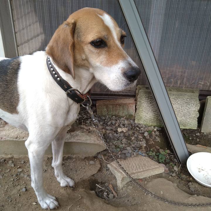 1cbdc9a7 f17b 4ba5 973d bd98e3771275 1663840130573