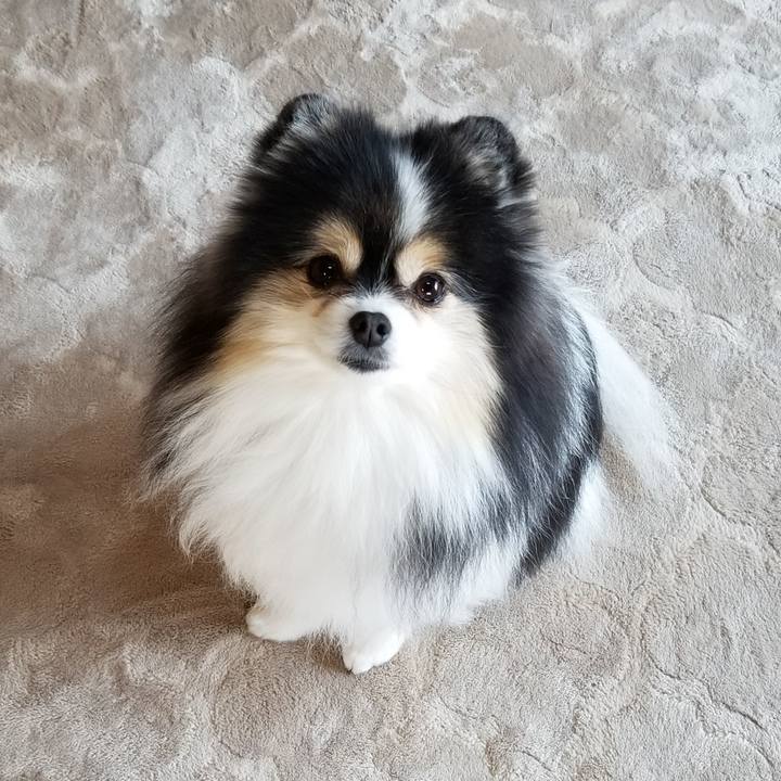 1cbdecac 5f39 4b61 a640 ff418f47d7c5 1606778269619