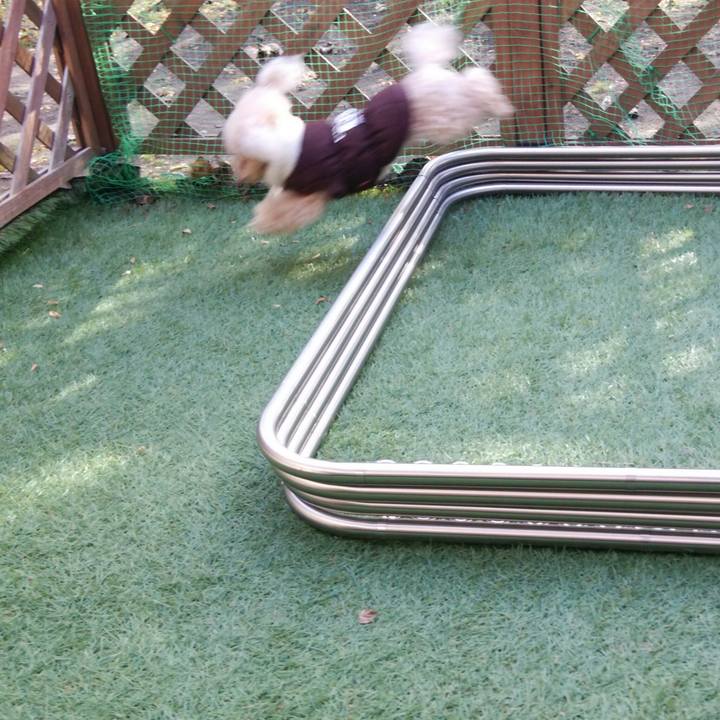 1cbdfa8b 89c2 4572 b0a4 aa66b5c56889 1543492900915