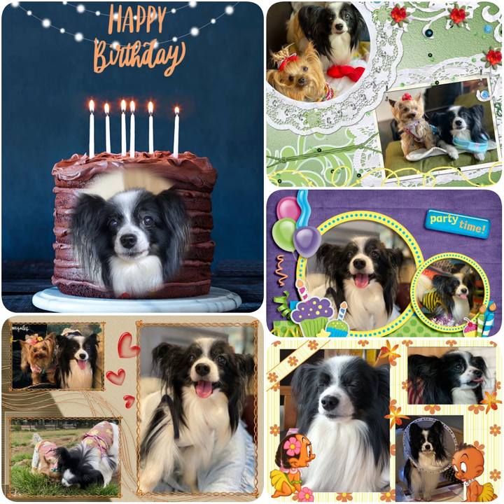 1cbe18c8 b8b3 4236 b92d 8482621e7e21 1632267617015