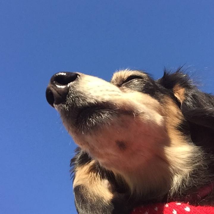 1cbe25d9 d28b 41e4 802b 4ab577fe676c 1515630357708