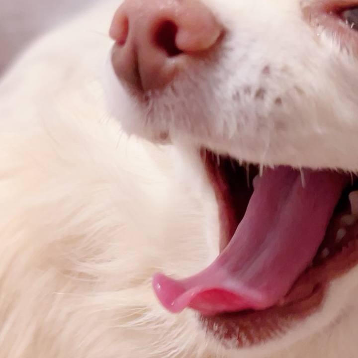 1cbe5937 9615 4f56 be60 6a80f2b32697 1703243960256